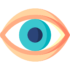 eye
